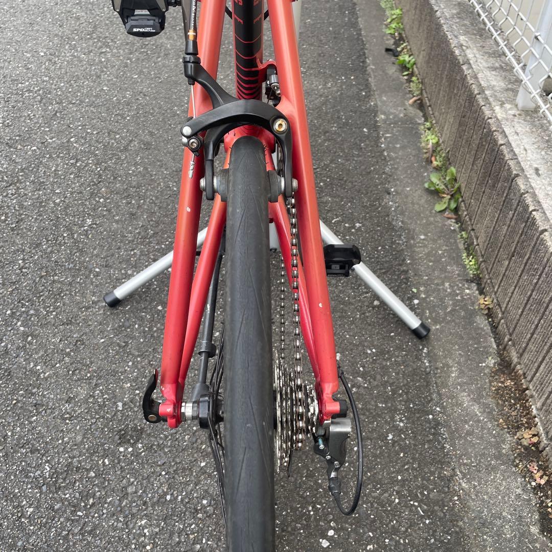 Tern SURGE ミニベロ アルミフレーム 20インチ【タカ】