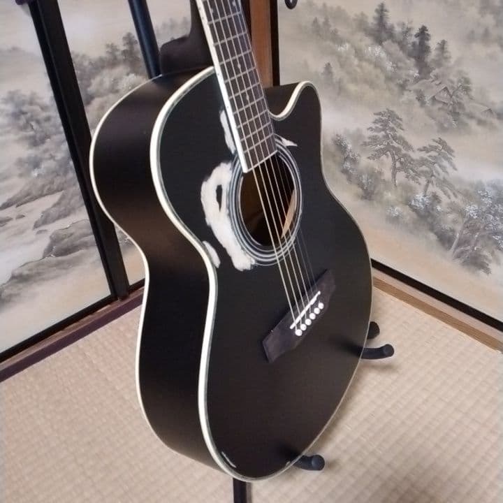アコースティックギター 黒 ブラック　カスタム　Tay○or パールシェル製