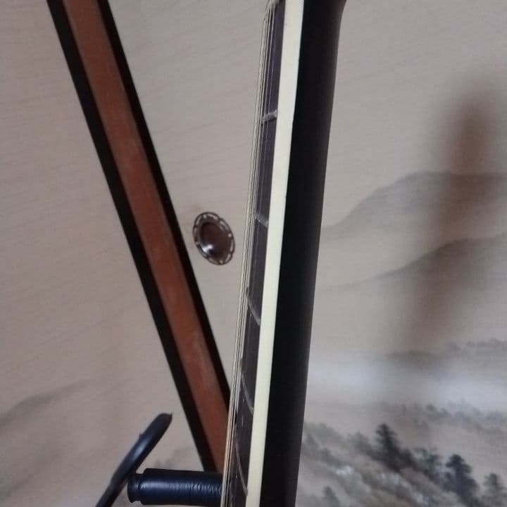 アコースティックギター 黒 ブラック　カスタム　Tay○or パールシェル製