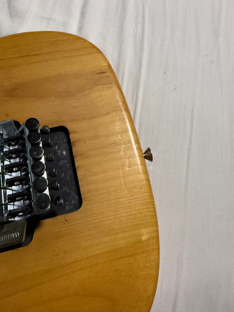 Washburn N2-NUNO ヌーノベッテンコート　ギター