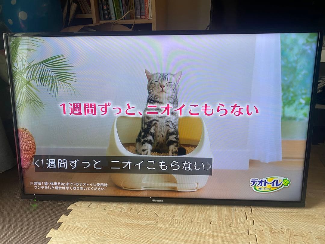 2019年製　ハイセンス43型液晶テレビ外付けHDD裏番組録画対応