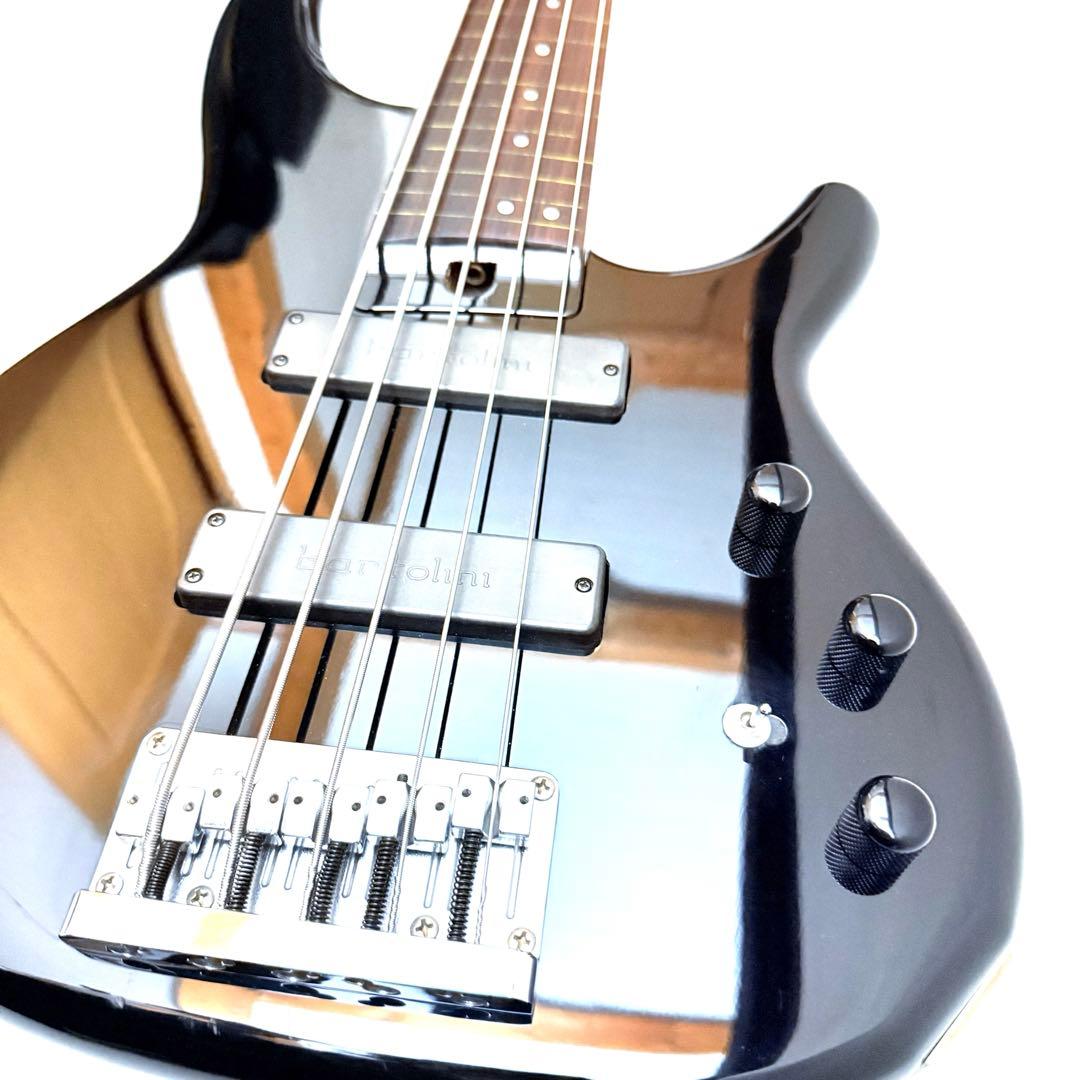 【希少】HEARTFIELD DR-5 カスタム 5弦ベース フレットレス仕様