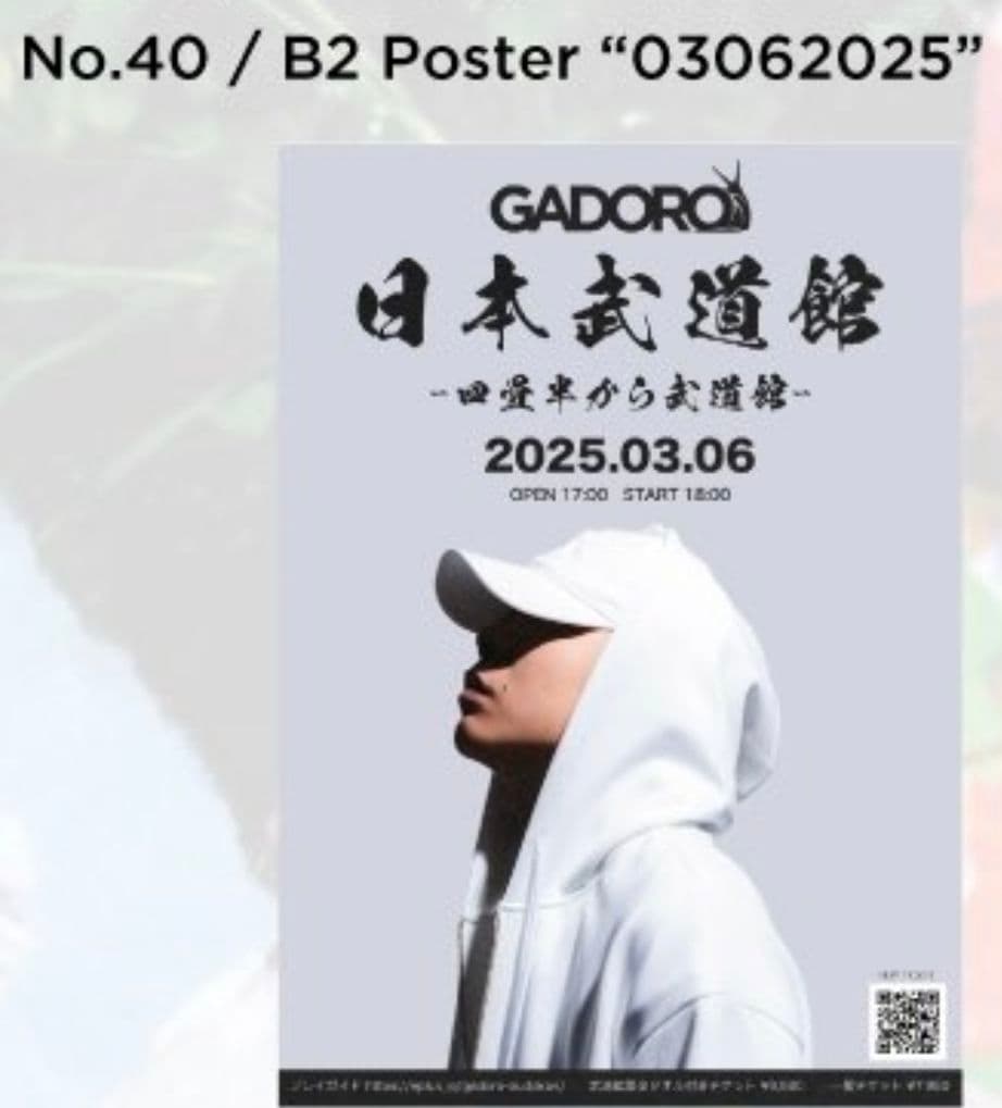 GADORO 日本武道館 B2ポスター