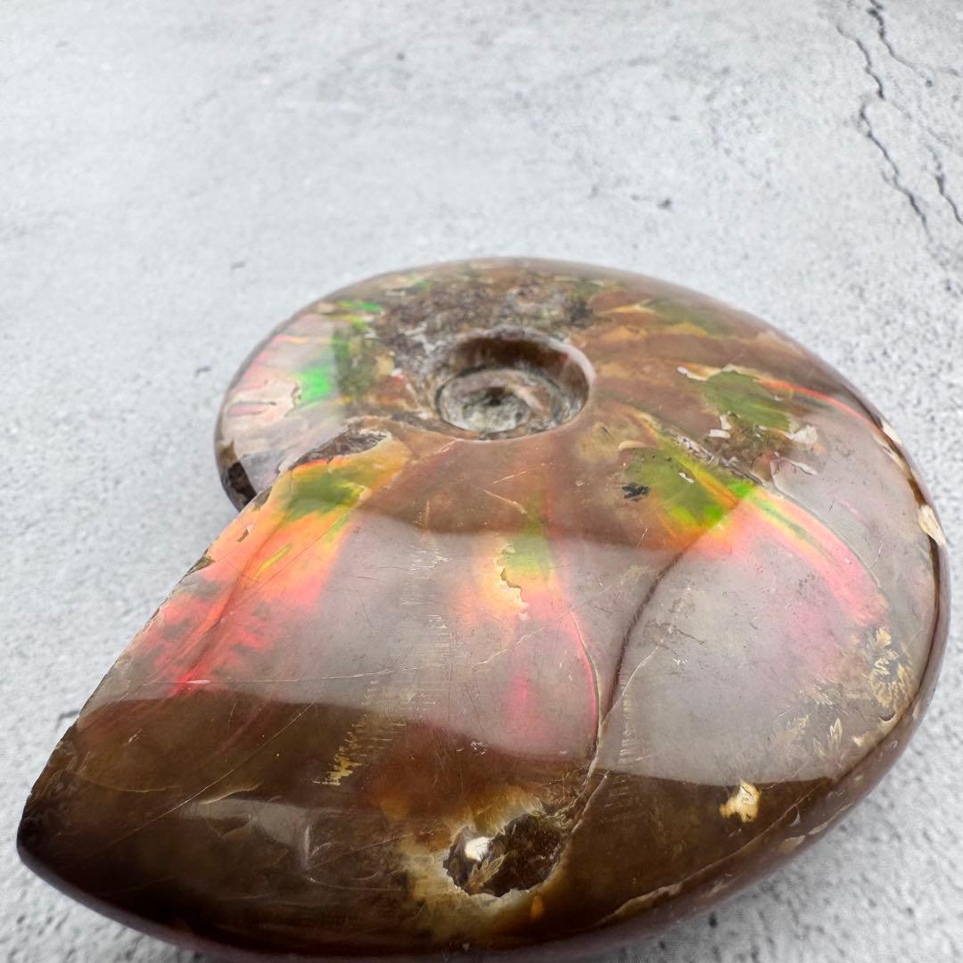 G-77天然アンモナイト原石　游色多色アンモナイト化石 天然石　コレクション標本