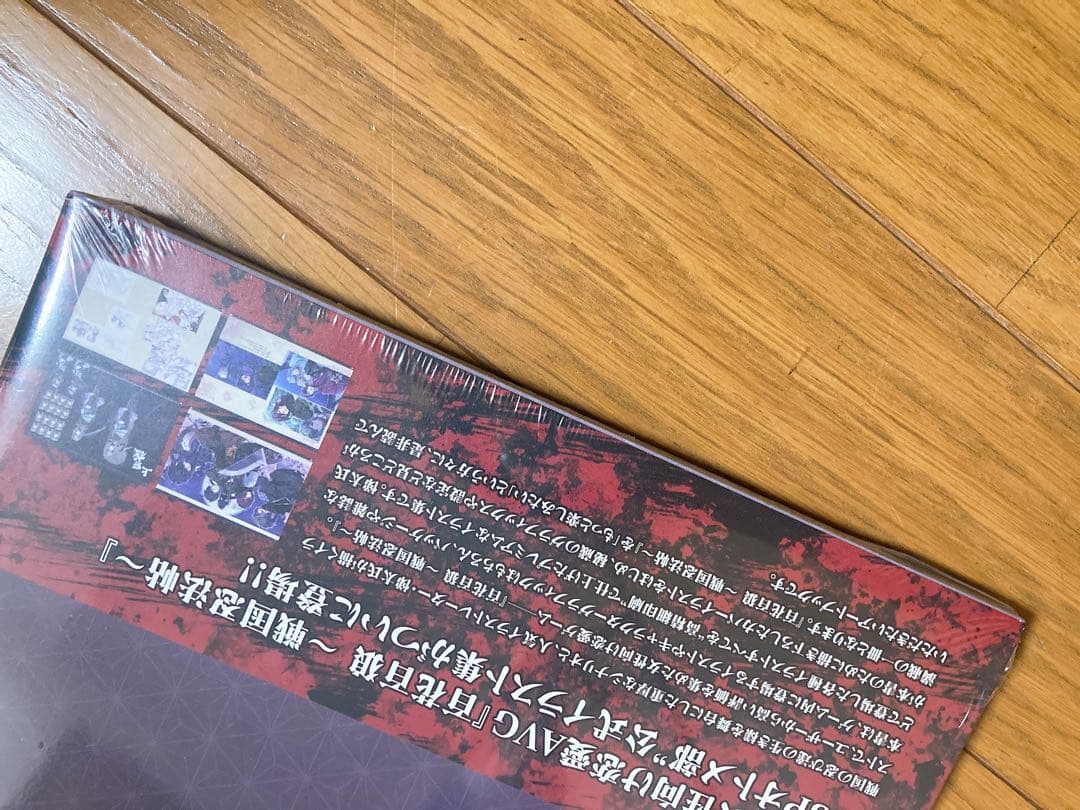 百花百狼 戦国忍法帖 公式アートブック