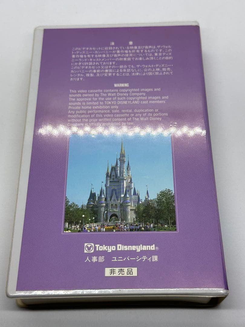 《希少》東京ディズニーランド10周年記念　フェアリーテイルウエディング　ビデオ