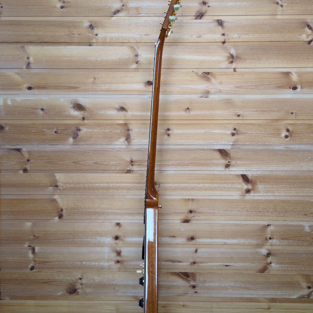 Bacchus　バッカス　bfvシリーズ　フライングV