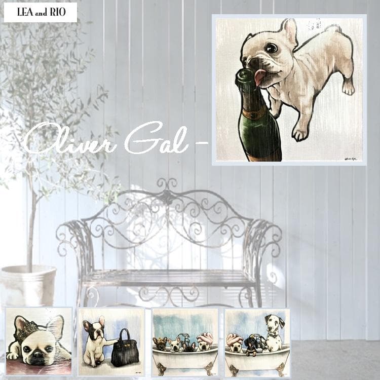 Oliver Gal -オリバーガル - OG66 67 69 70 73-3