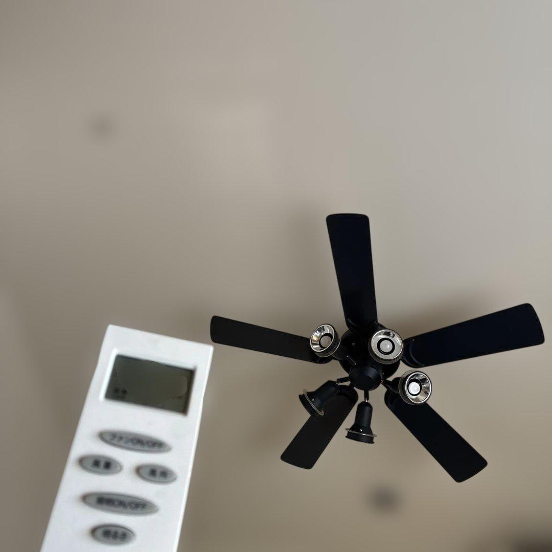 美品　レア　オーデリック　黒ファン　 元値　6万円