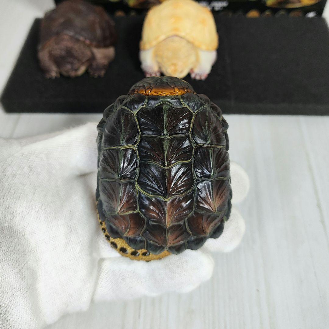 【動物の惑星】★激レア★第1弾亀廃盤品ワニガメ+カミツキガメ!! フィギュア