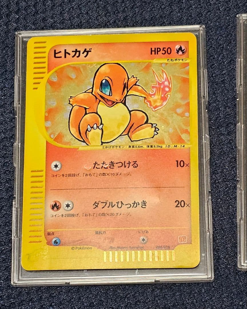わー　ヒトカゲ ゼニガメ キラ ポケモンカードe プロモ 非売品