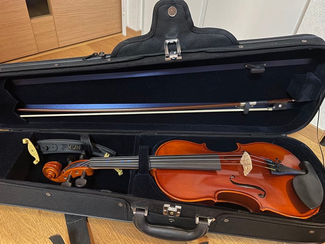 Eastman SVL80セット 4/4 バイオリン