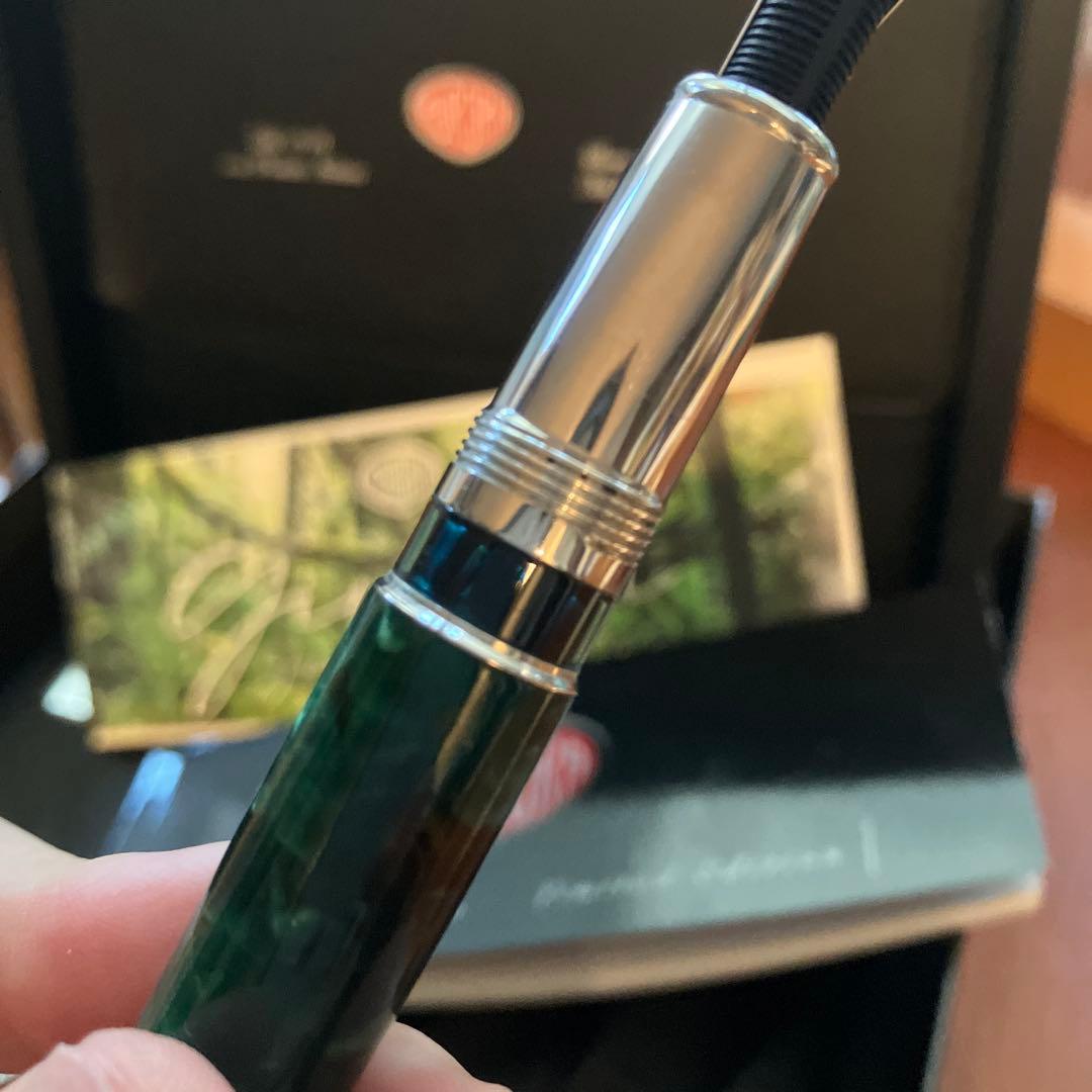 アウロラ　万年筆　ジュングラ　アンビエンテ　EF