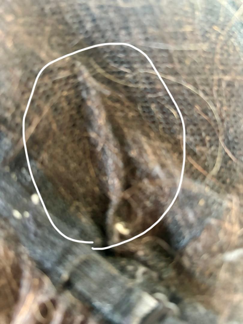 フォンテーヌ　フルウィッグ（説明書付き）