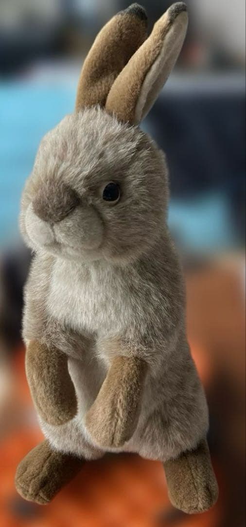 やまね工房　キュウシュウノウサギ　冬毛　立