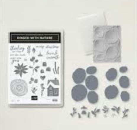 お値下♡未使用　万能な可愛い切株スタンプ＆ダイ＆エンボス　スタンピンアップ