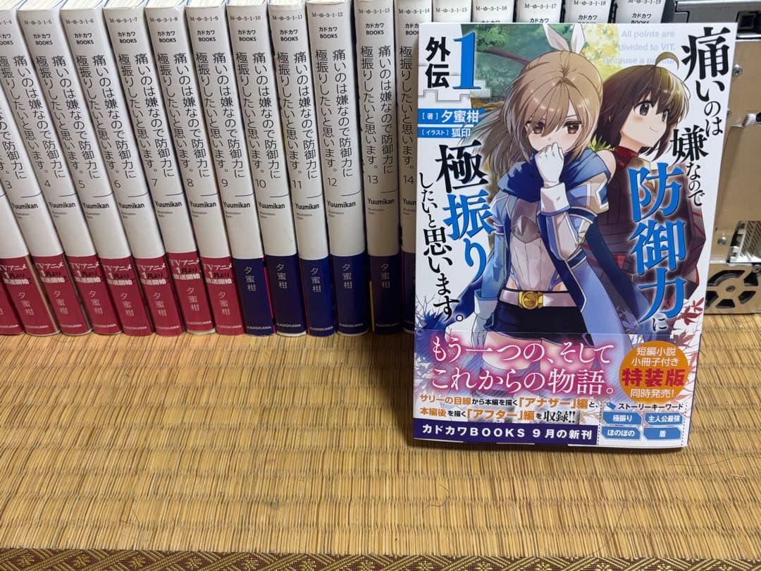 痛いのは嫌なので防御力に極振りしたいと思います 小説 全19巻 + 外伝1