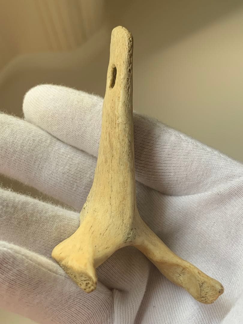 縄文時代　出土　骨角器　骨製首飾り　石器　土器　勾玉　根付　水石　魔除け　弥生