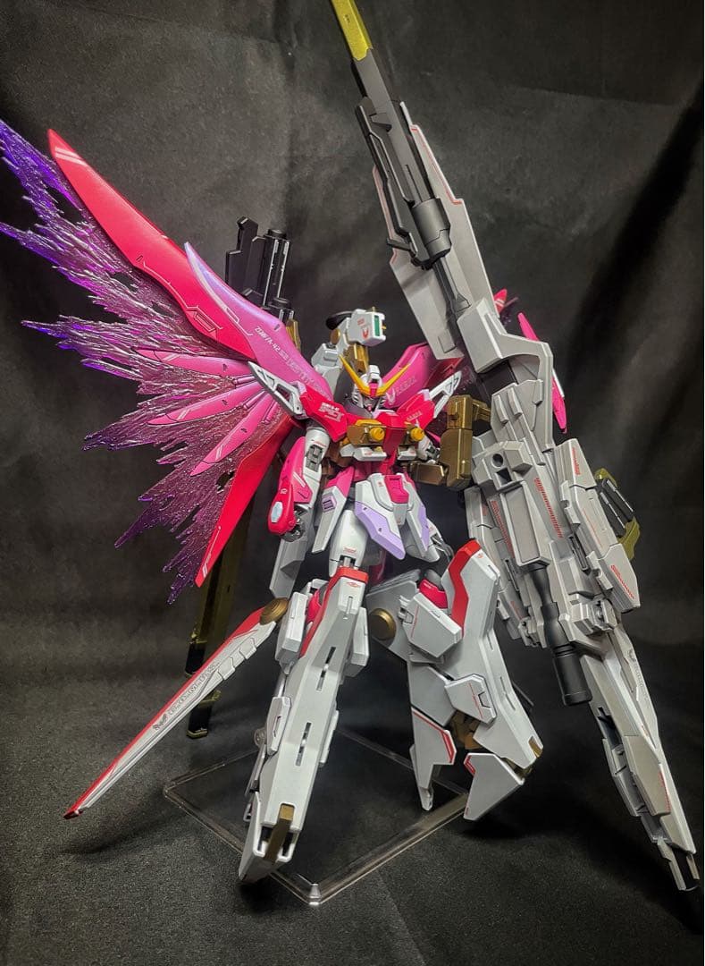 N*T様 ガンプラ完成品HG デスティニーガンダムspecⅡ & ゼウスシルエッ