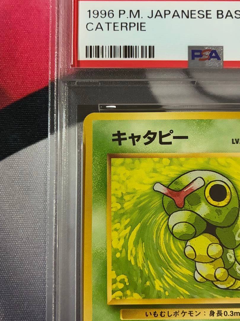 PSA8☆キャタピー 旧裏
