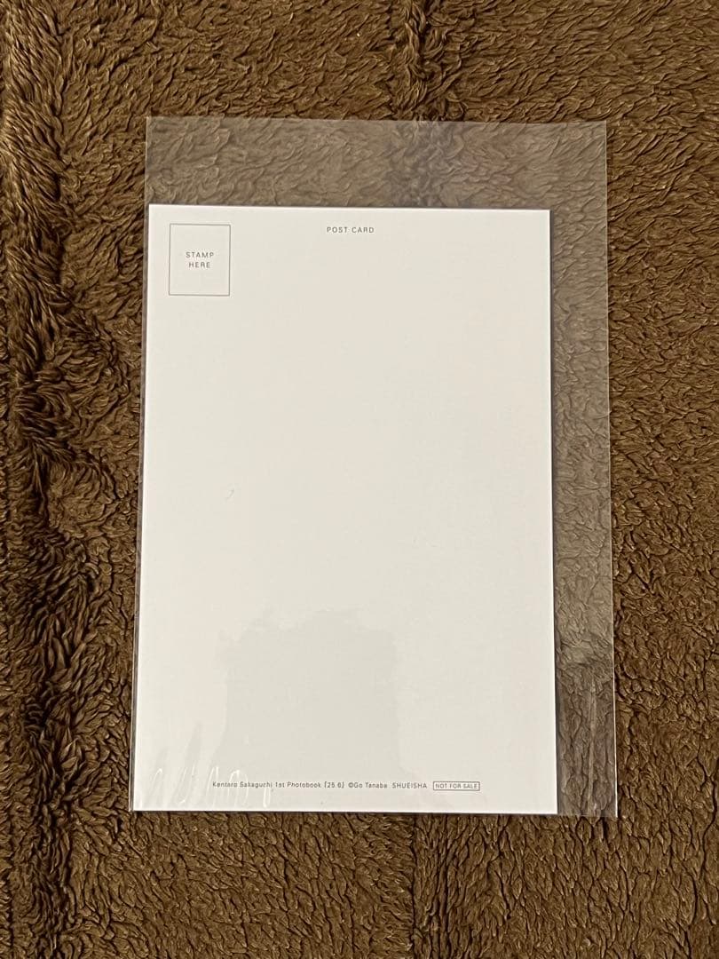 坂口健太郎　非売品　ポストカード　25.6