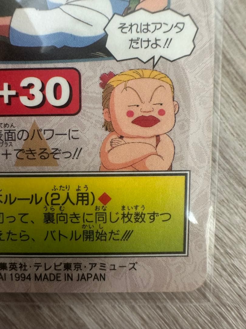 【レア】ジャングルの王者ターちゃん　キラカード