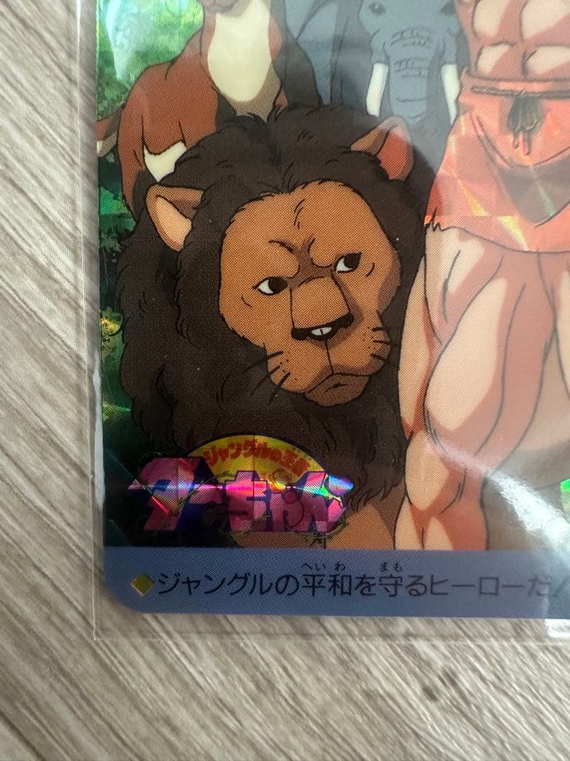 【レア】ジャングルの王者ターちゃん　キラカード