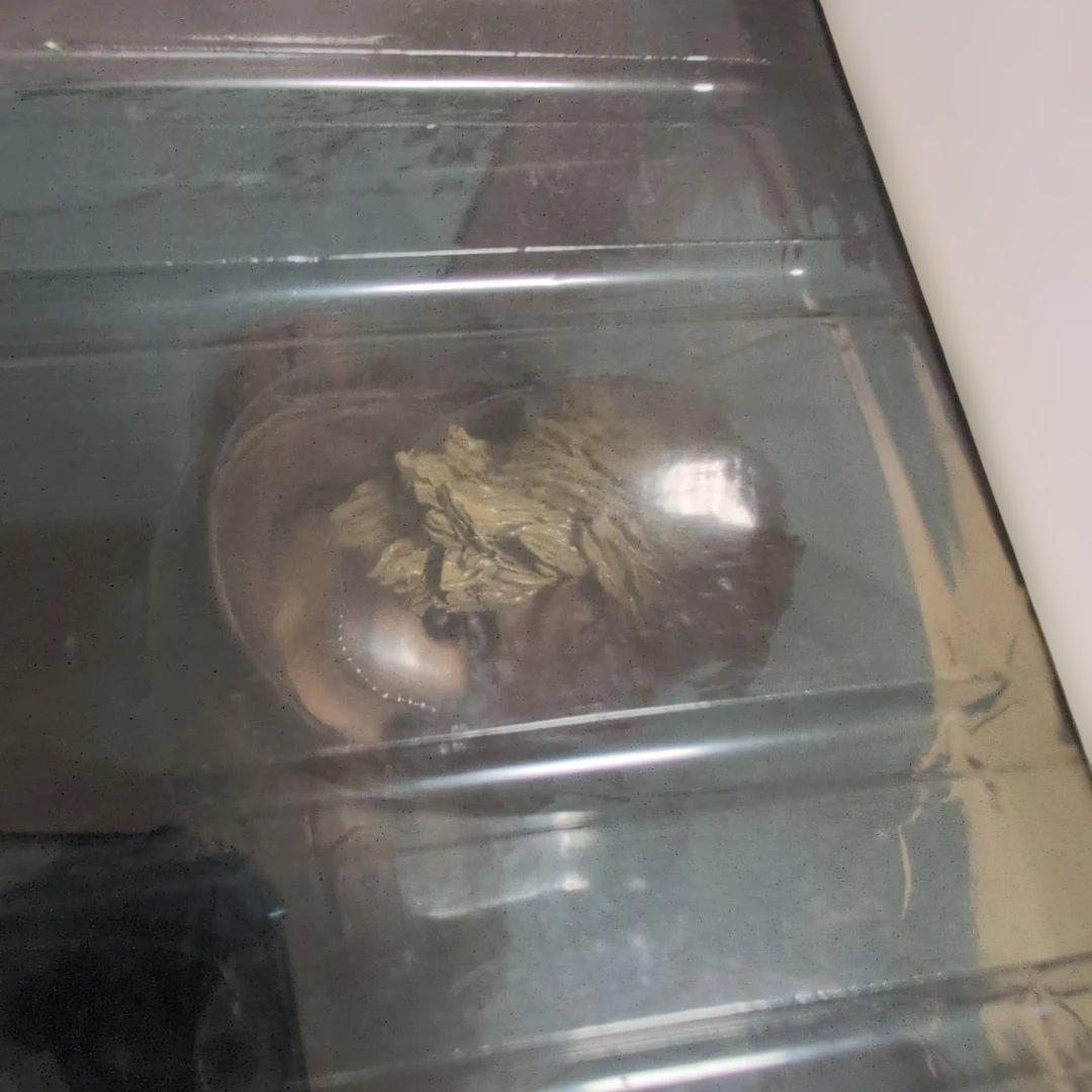 L GEAR SOLID リキッド・スネーク