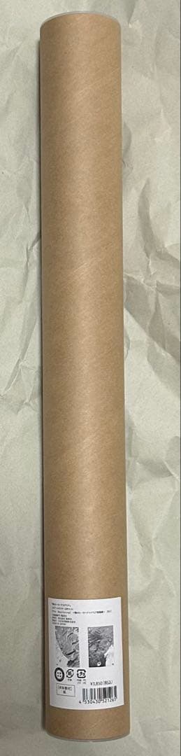 僕のヒーローアカデミア　ヒロアカ　アートポスター2枚　The Beginning