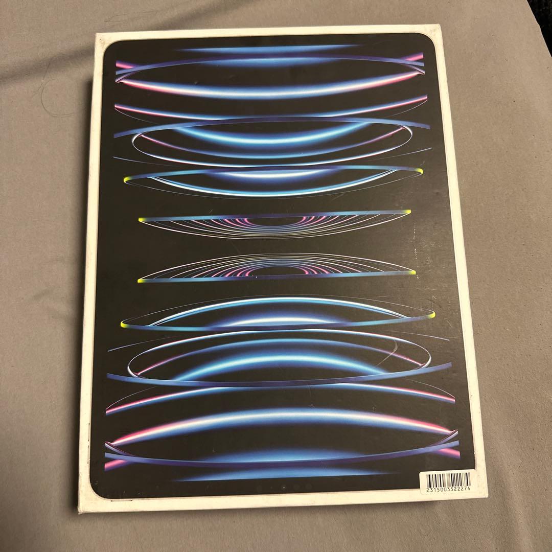 専用 iPad Pro 12.9 第6世代 Wi-Fi+Cellular 2TB