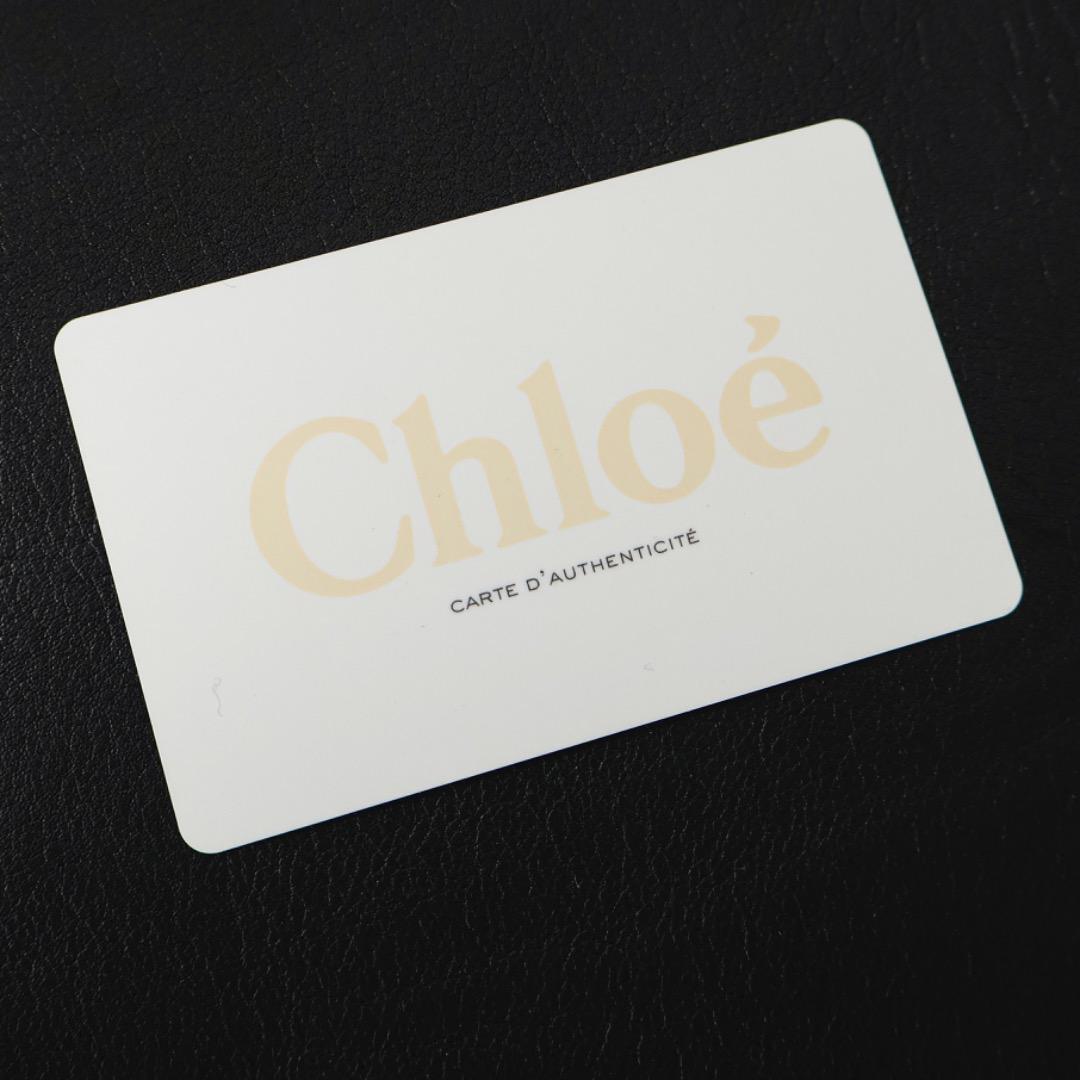 H5112-12◾️クロエ　ナイル　レザーショルダーバッグ