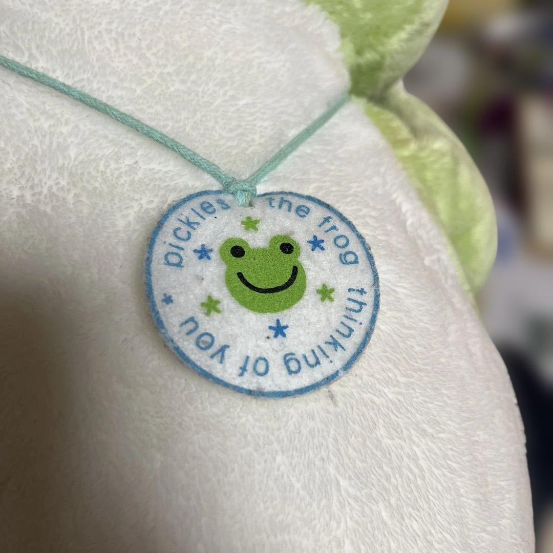 かえるのピクルス (pickles the frog)ぬいぐるみ65cm