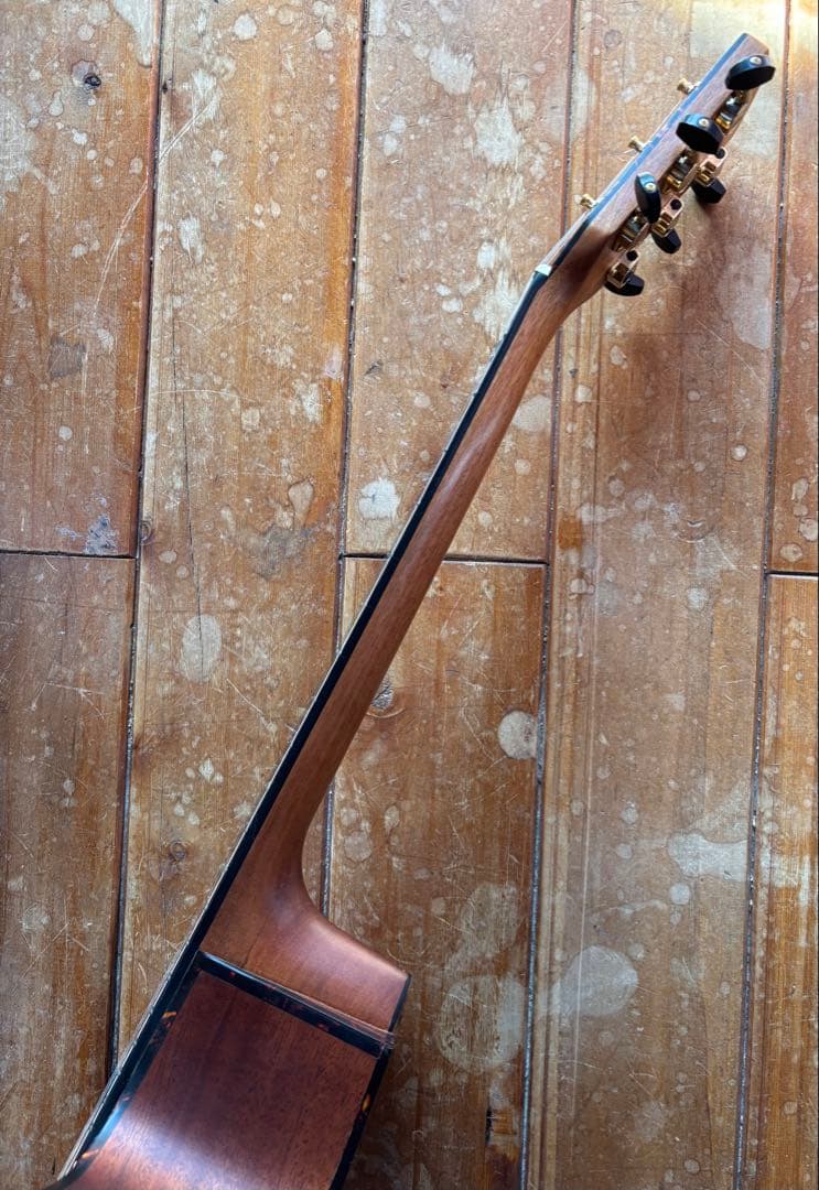 MORRIS S-031SP NAT 限定30本モデル