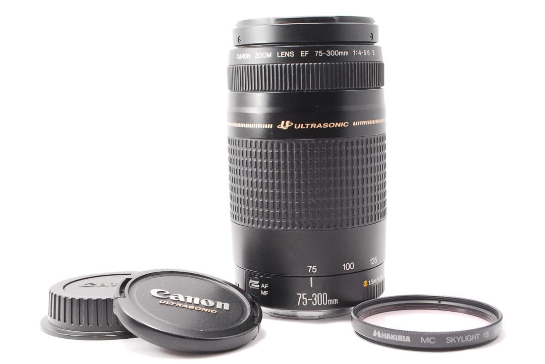 ✨人気の望遠レンズ✨Canon EF 75-300mm F4-5.6 Ⅱ