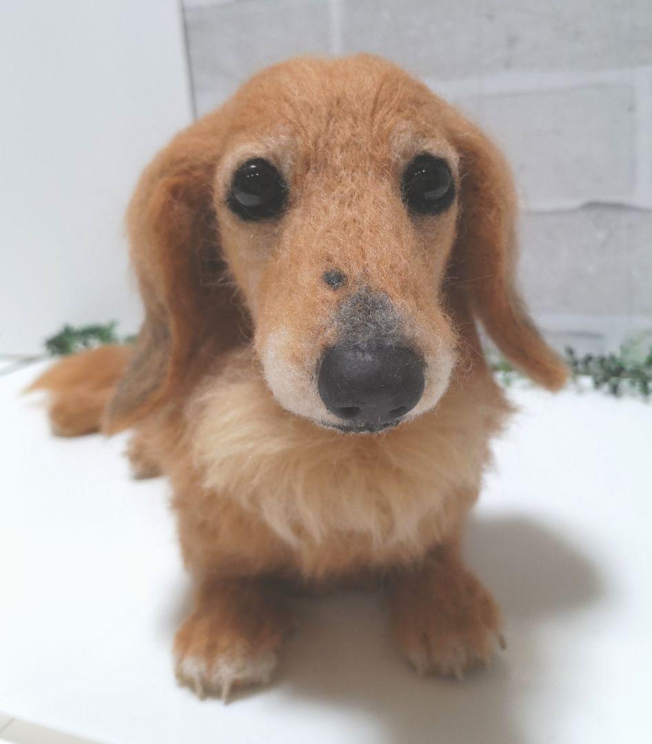 Yoko♡うちの子オーダー♡羊毛フェルト♪ハンドメイド☆