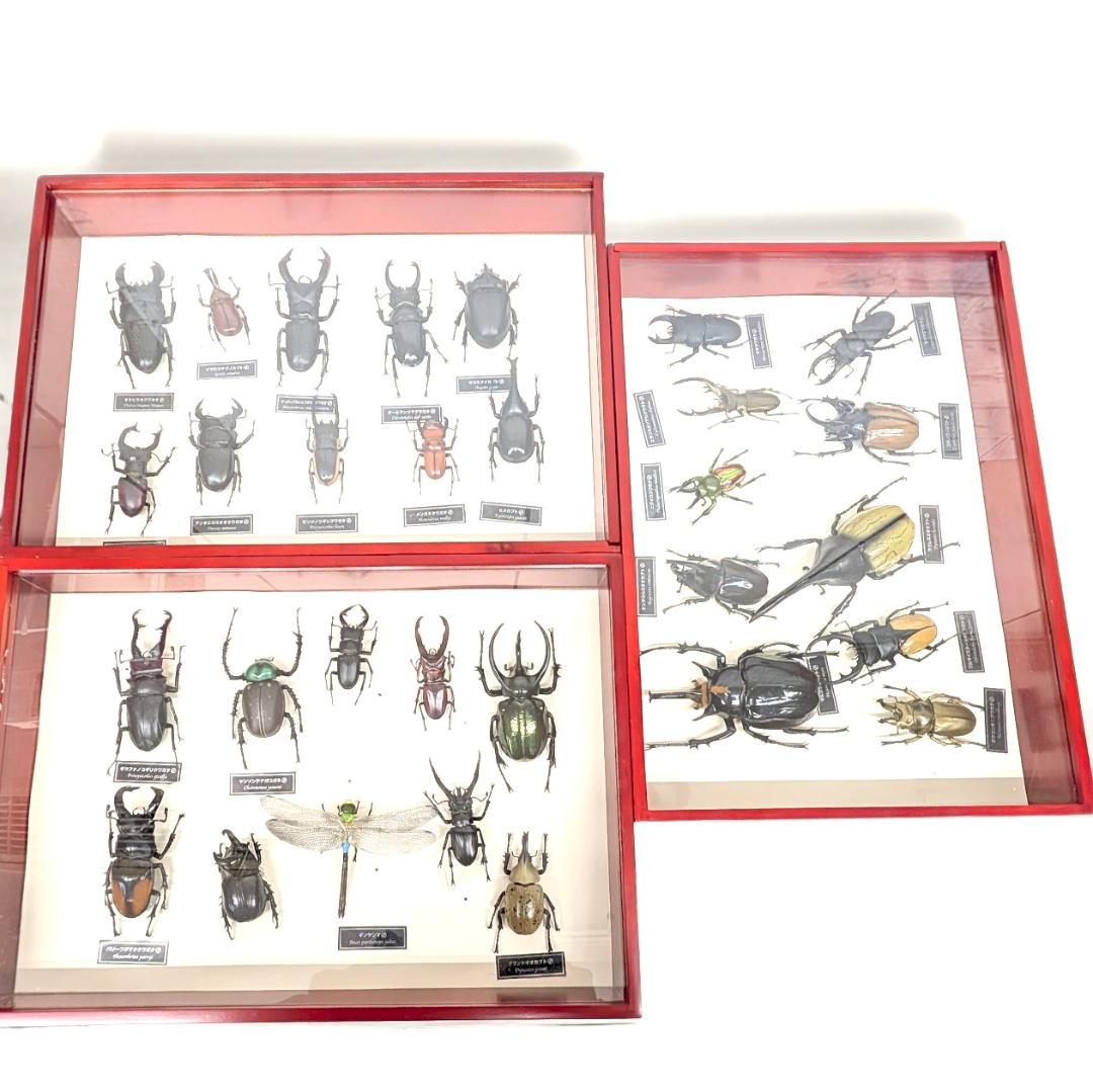 デアゴスティーニ 世界の昆虫 フィギュア30体セット 現状品 コレクションBOX