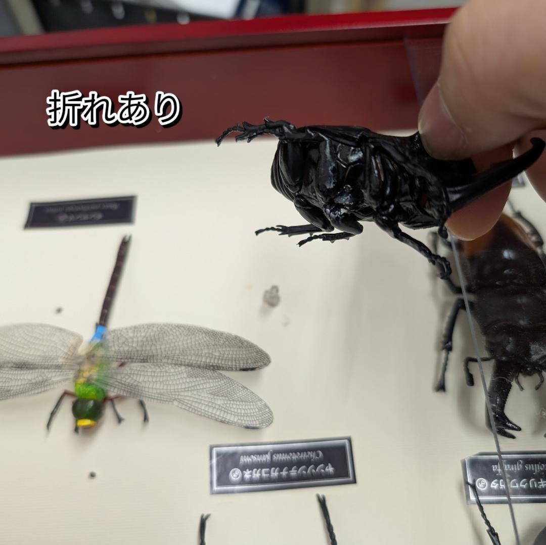 デアゴスティーニ 世界の昆虫 フィギュア30体セット 現状品 コレクションBOX