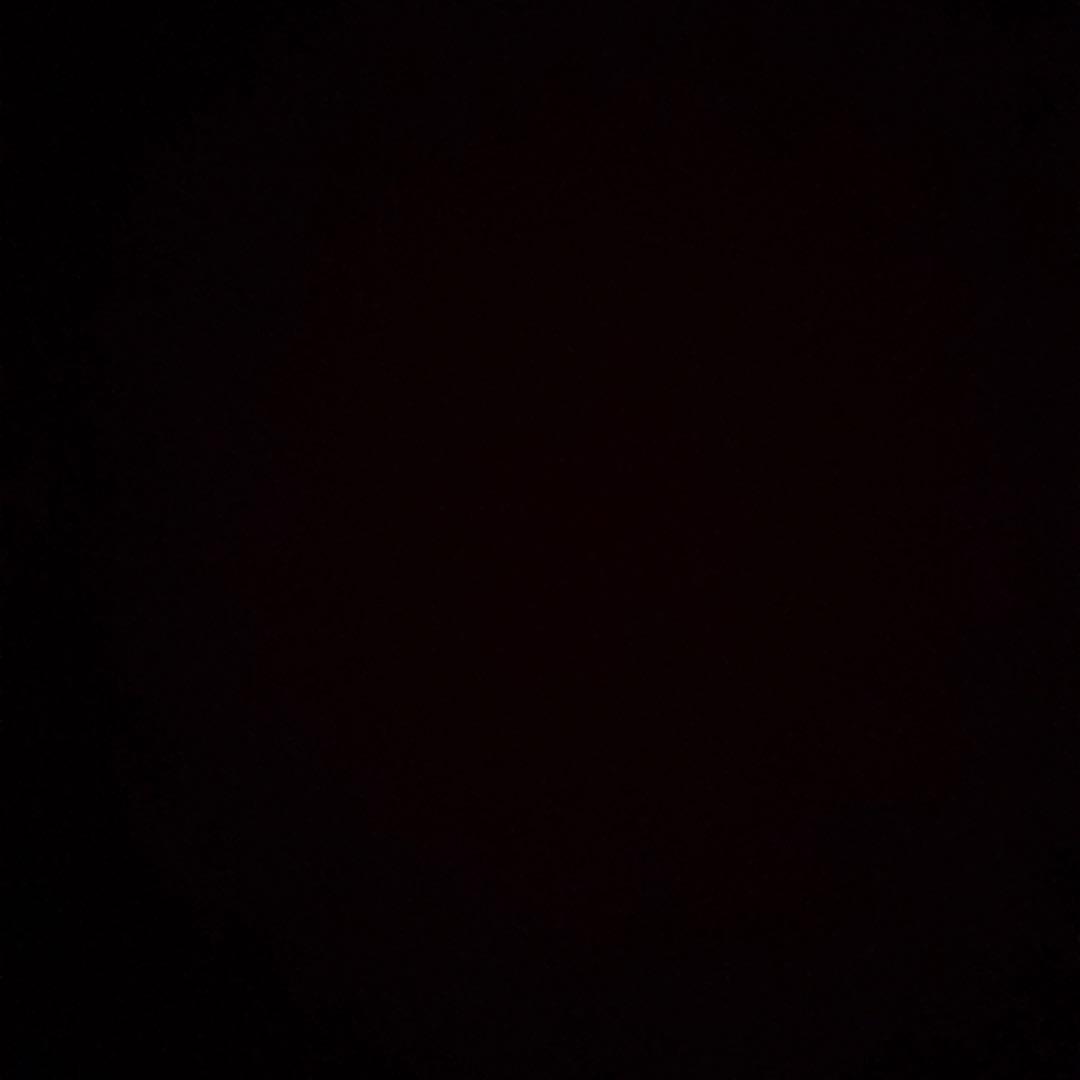 ブルーバード#プロフィール必読 　真骨彫クウガアルティメットフォーム