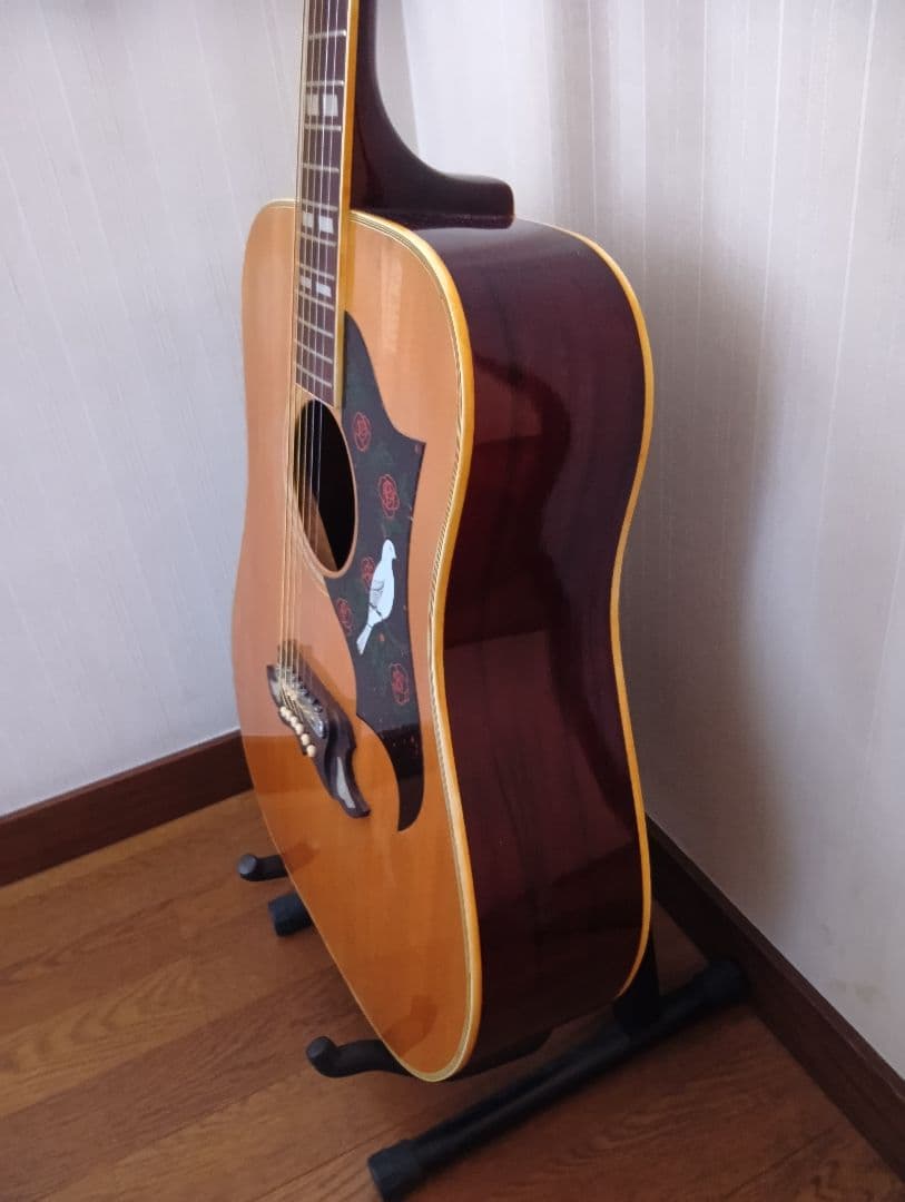 Doveタイプ アコースティックギター 70年代ジャパビン クリーニング済み