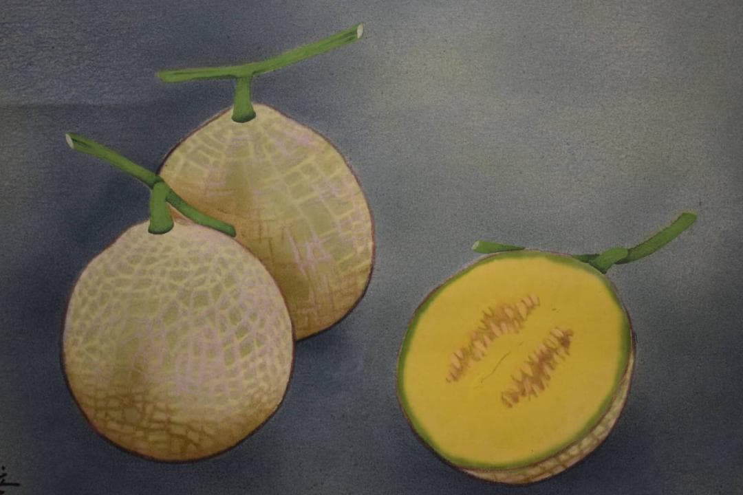 真作/正華/南香/メロン図/桐共箱太巻二重箱付/布袋屋掛軸HE-497