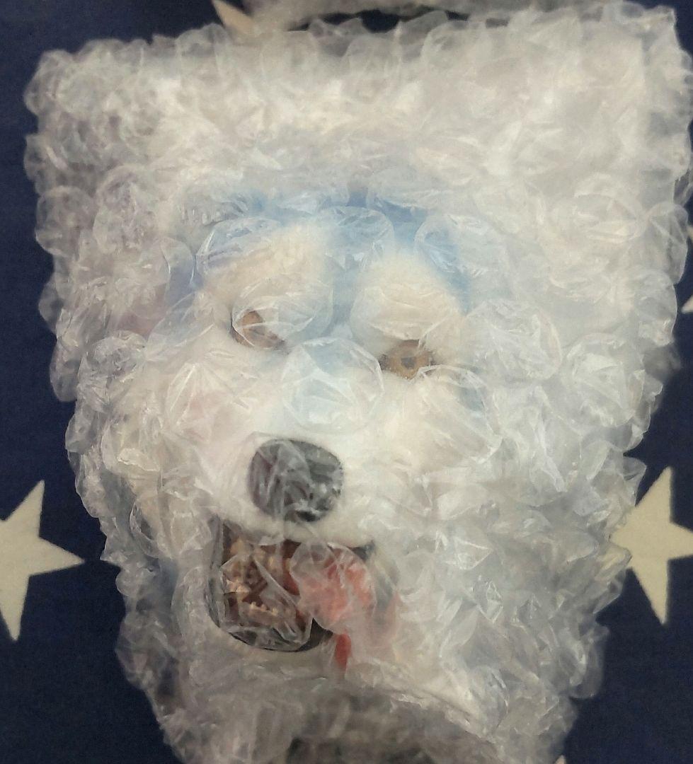 一番くじ マンウィズ H賞 フェイスマグネット 5種コンプセット