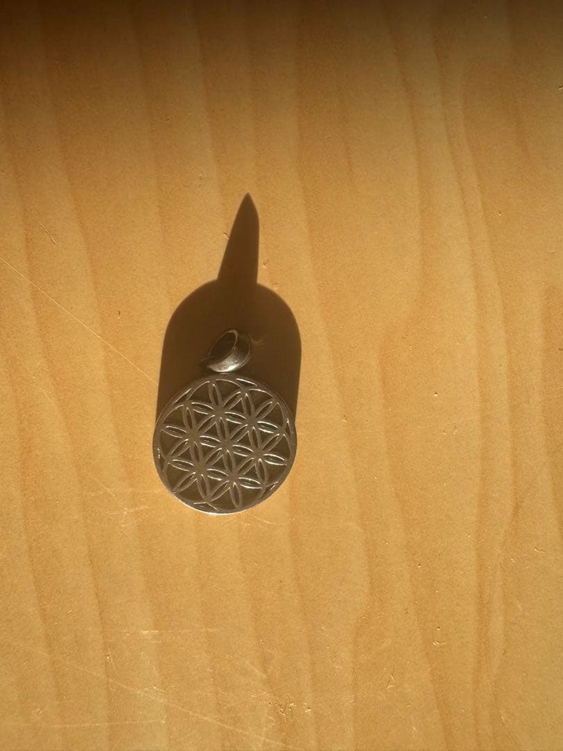 ギベオン隕石 　ペンダントトップ　隕石　シルバー925