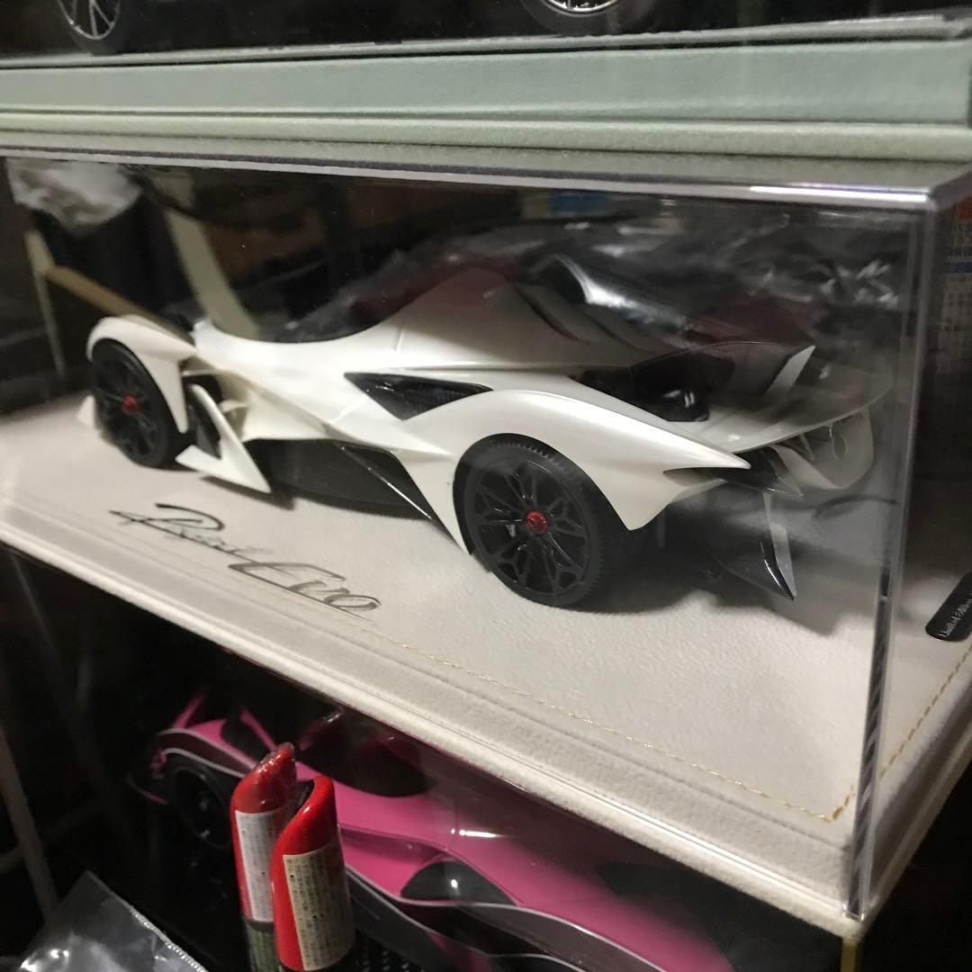 Project Evo ホワイトミニカー