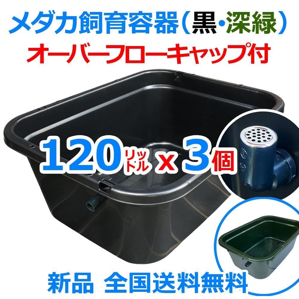 メダカ飼育ケース 120㍑x3個 黒・濃緑あり オーバーフロー 金魚飼育 越冬