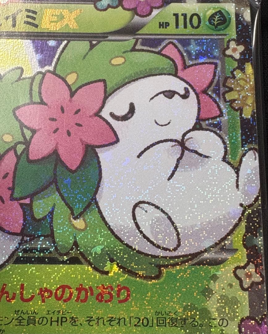 ポケカ　シェイミEX　ポケキュン　プロモカード
