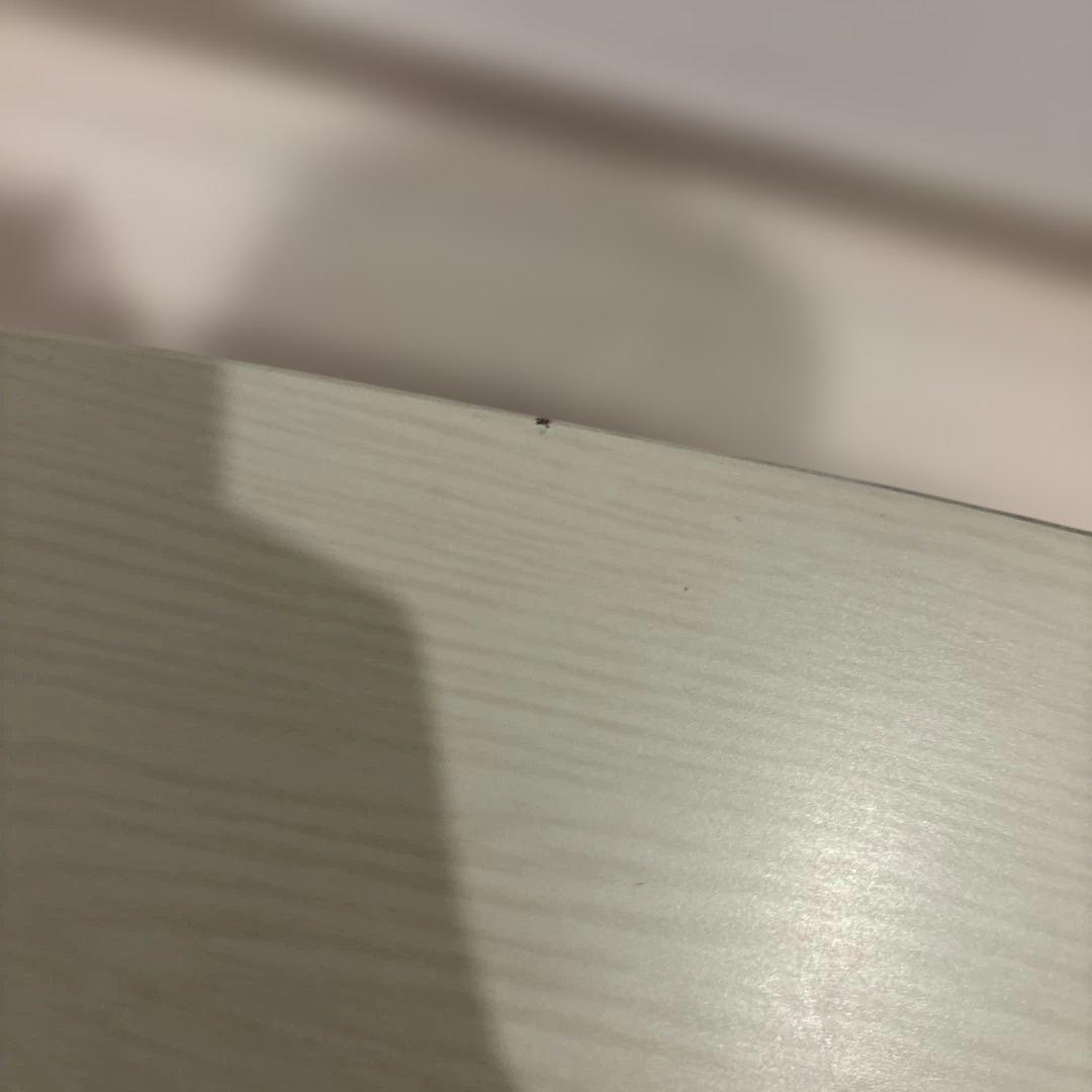 円型テーブル　こたつテーブル　白　ホワイト　カルミナ950