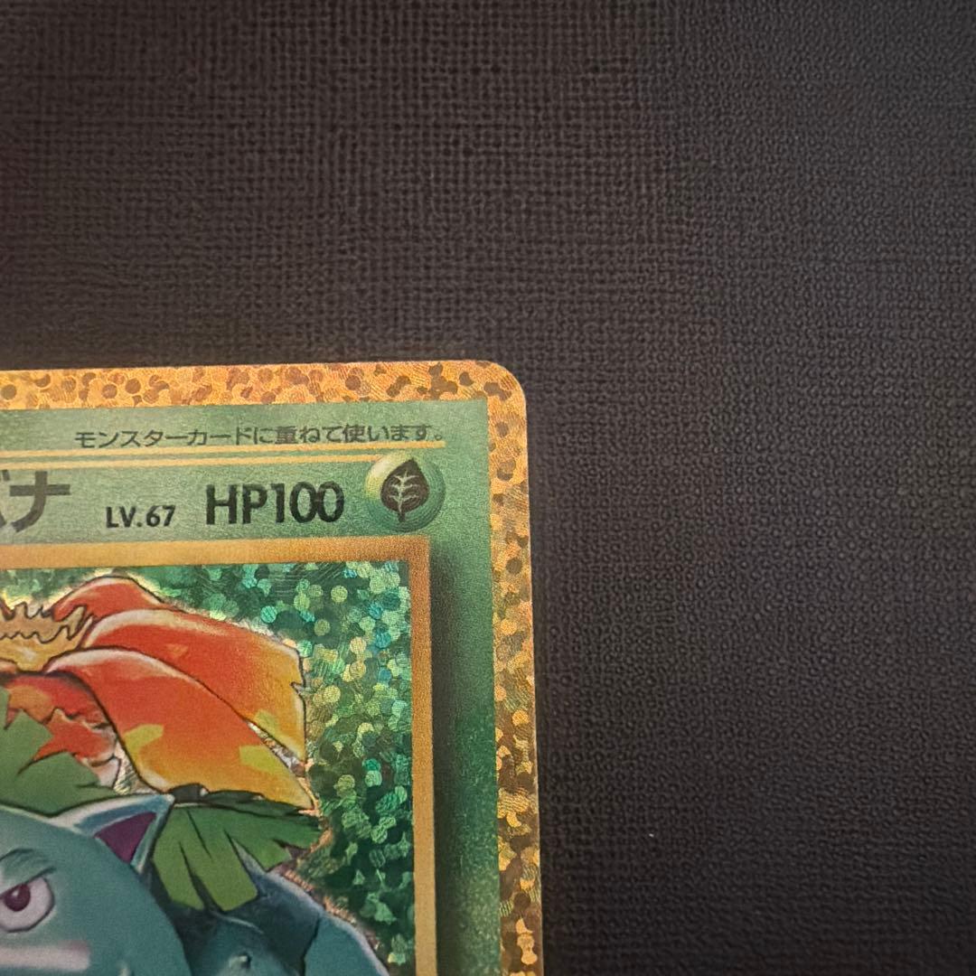 フシギバナ プロモカードパック 25th ANNIVERSARY editio…