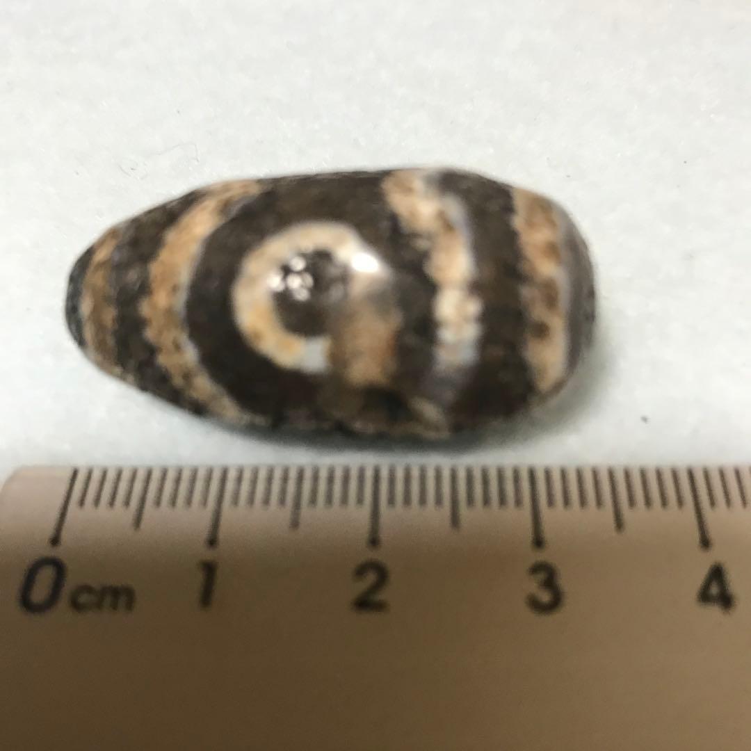 超激レア珍品‼︎ 古代老礦石　たまご型蓮花三眼天珠　マニア向け　フジヤマ