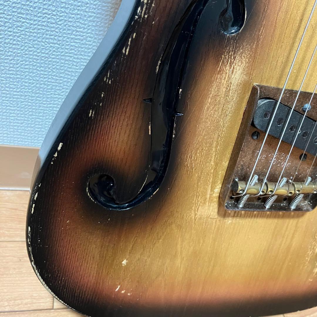 Delicious Taylor made RogueSnake テレキャス