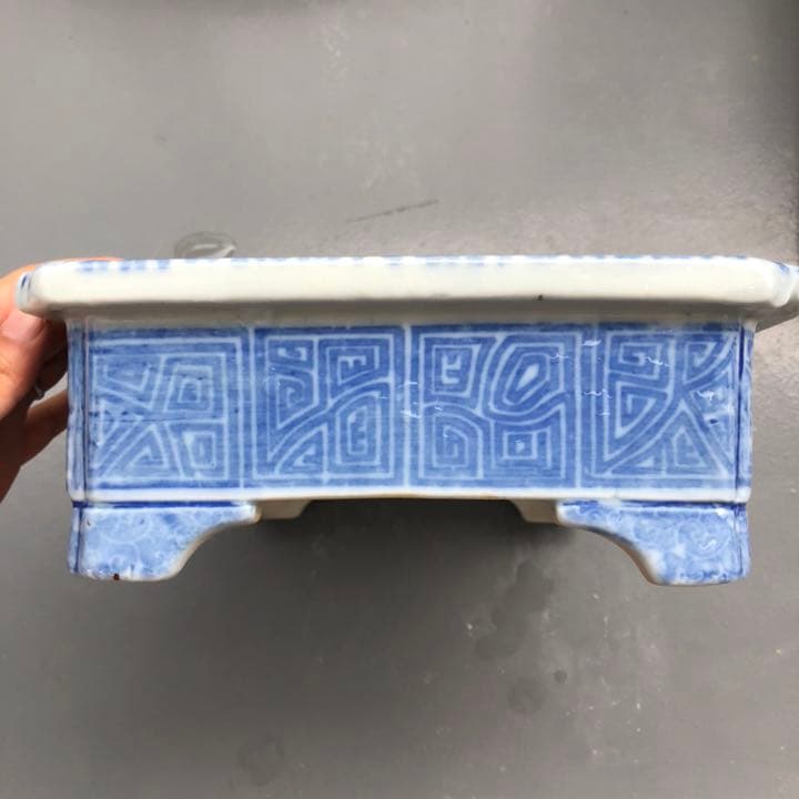 水盤 尾張焼 瀨戶焼 盆栽鉢 植木鉢 日本古鉢